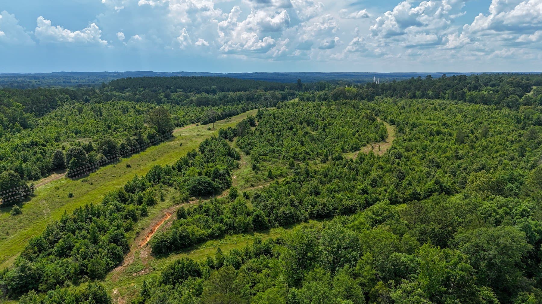 129.89 acres in Marion County - photo 31