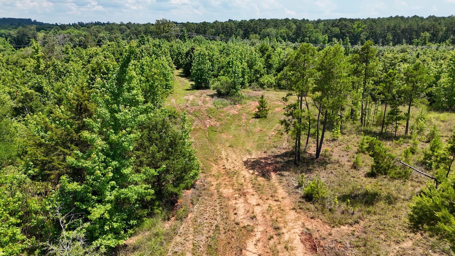 129.89 acres in Marion County - photo 23