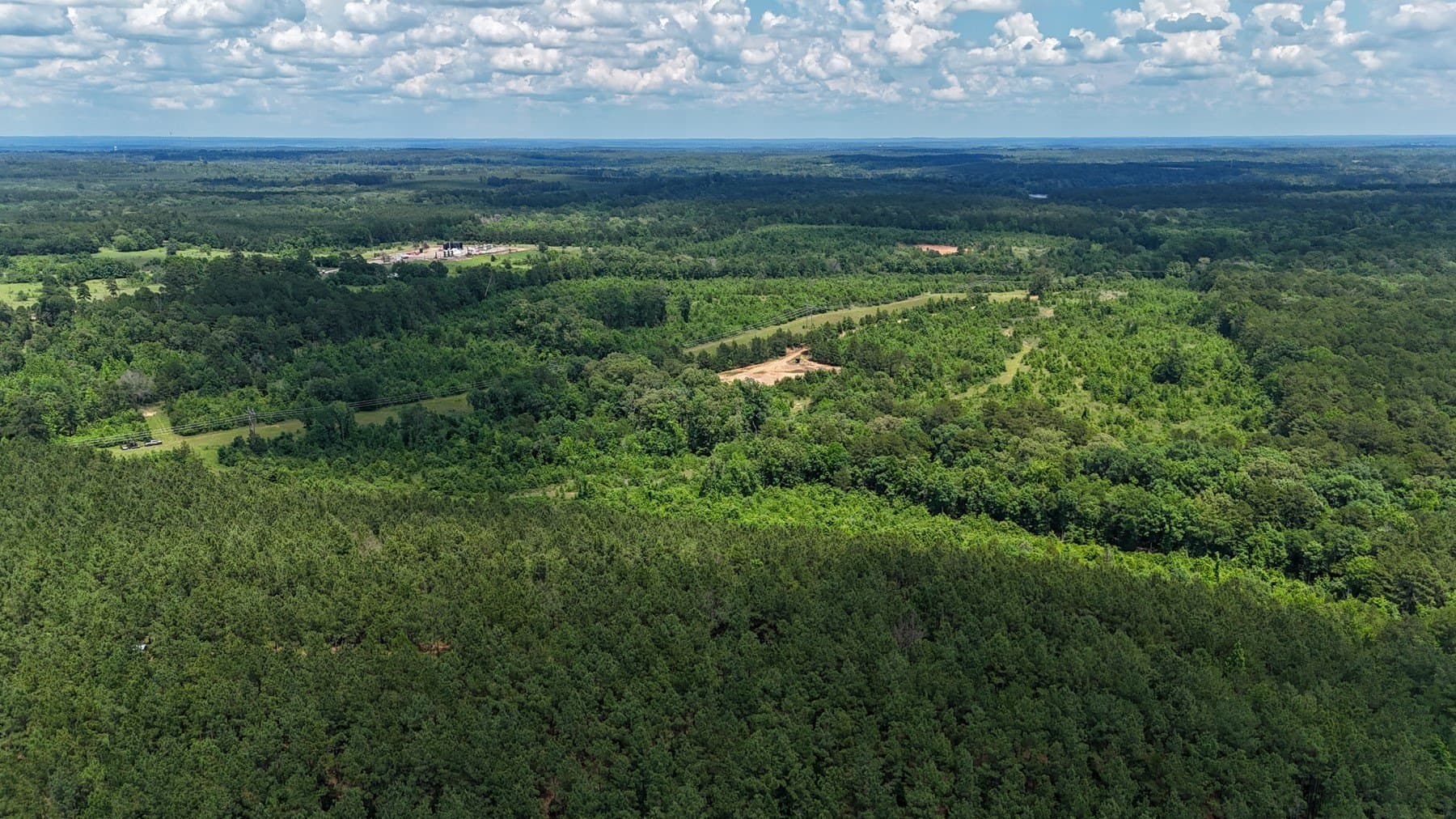 129.89 acres in Marion County gallery image 4