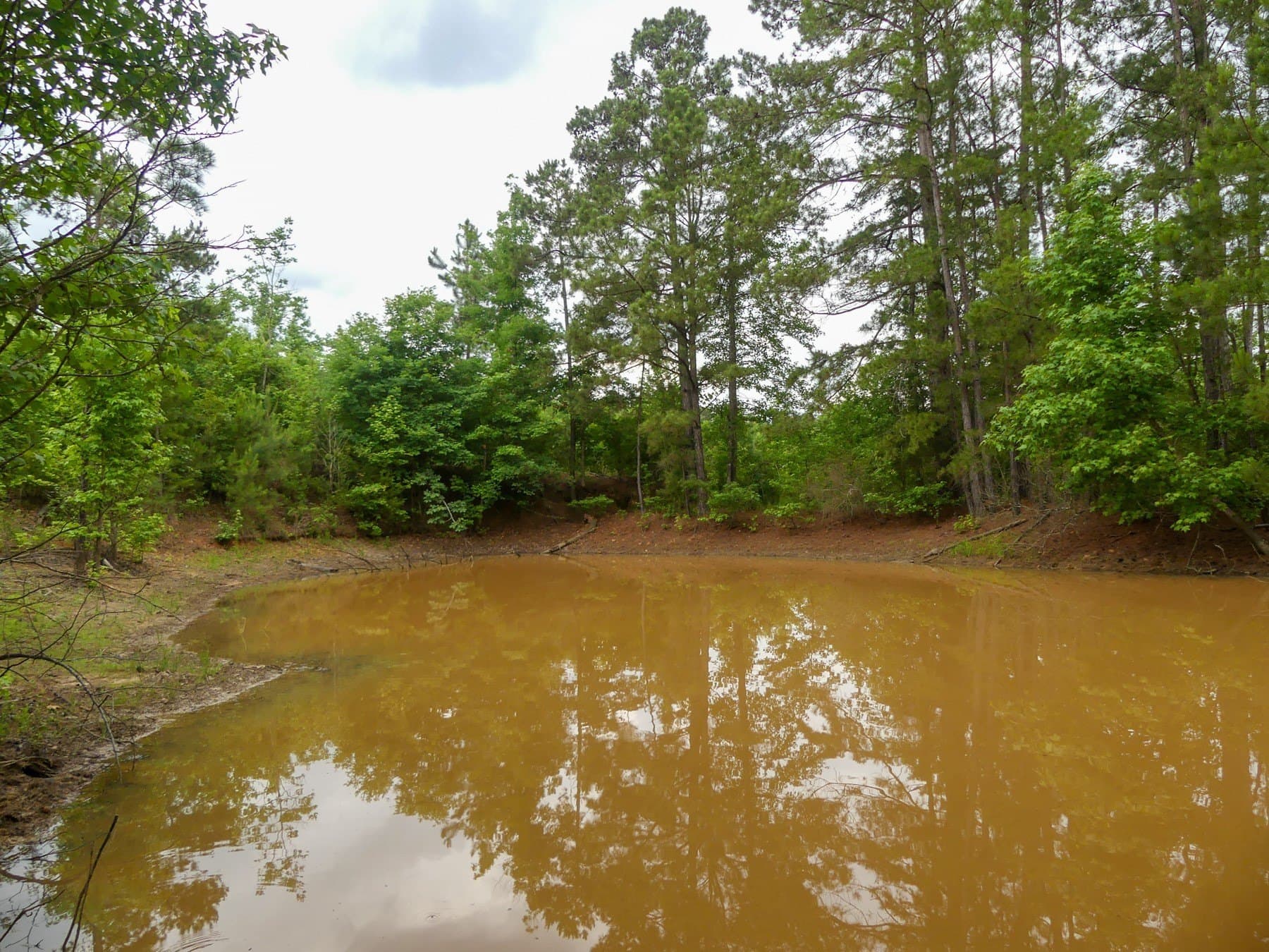 129.89 acres in Marion County - photo 39