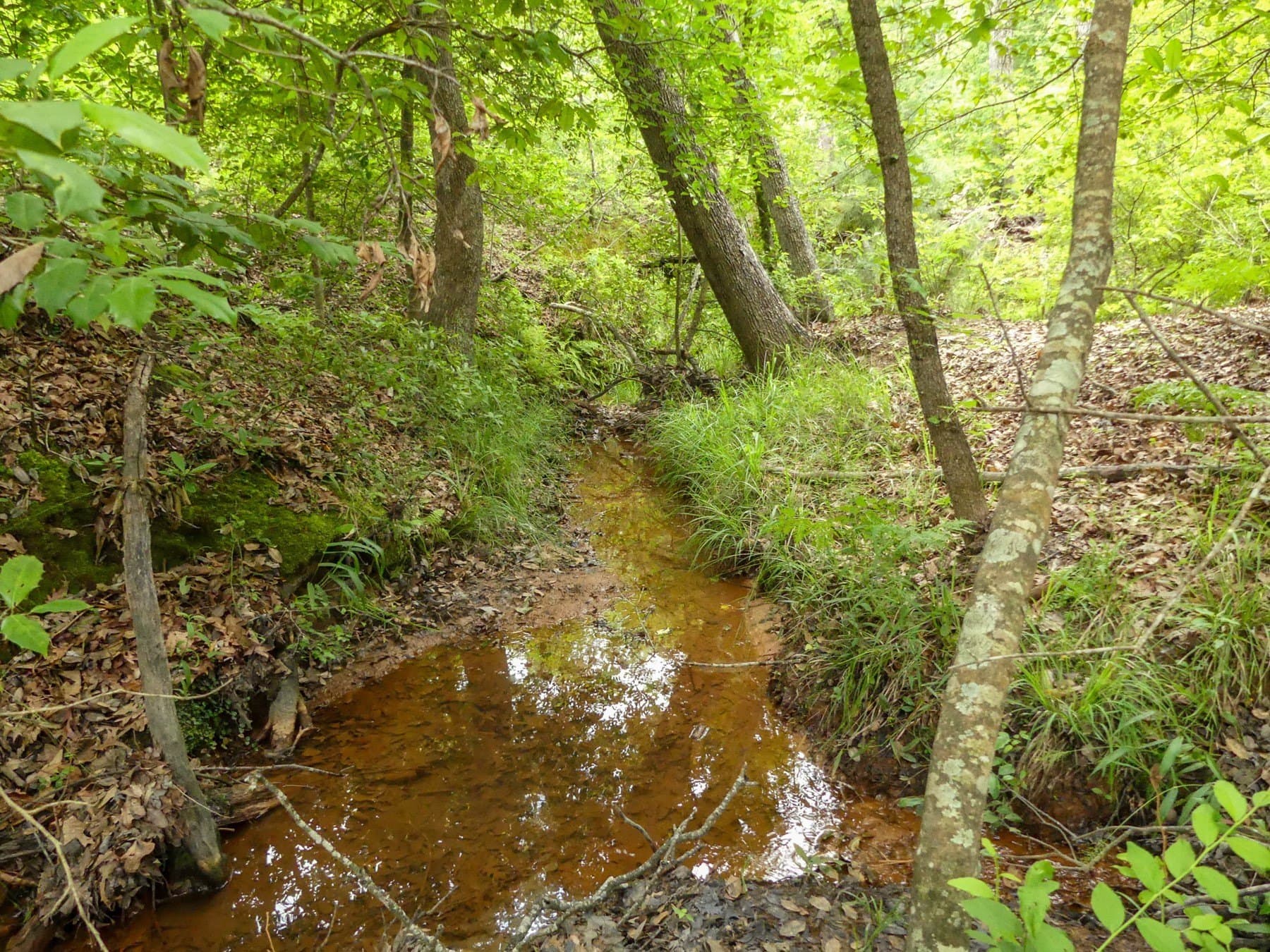 129.89 acres in Marion County - photo 34