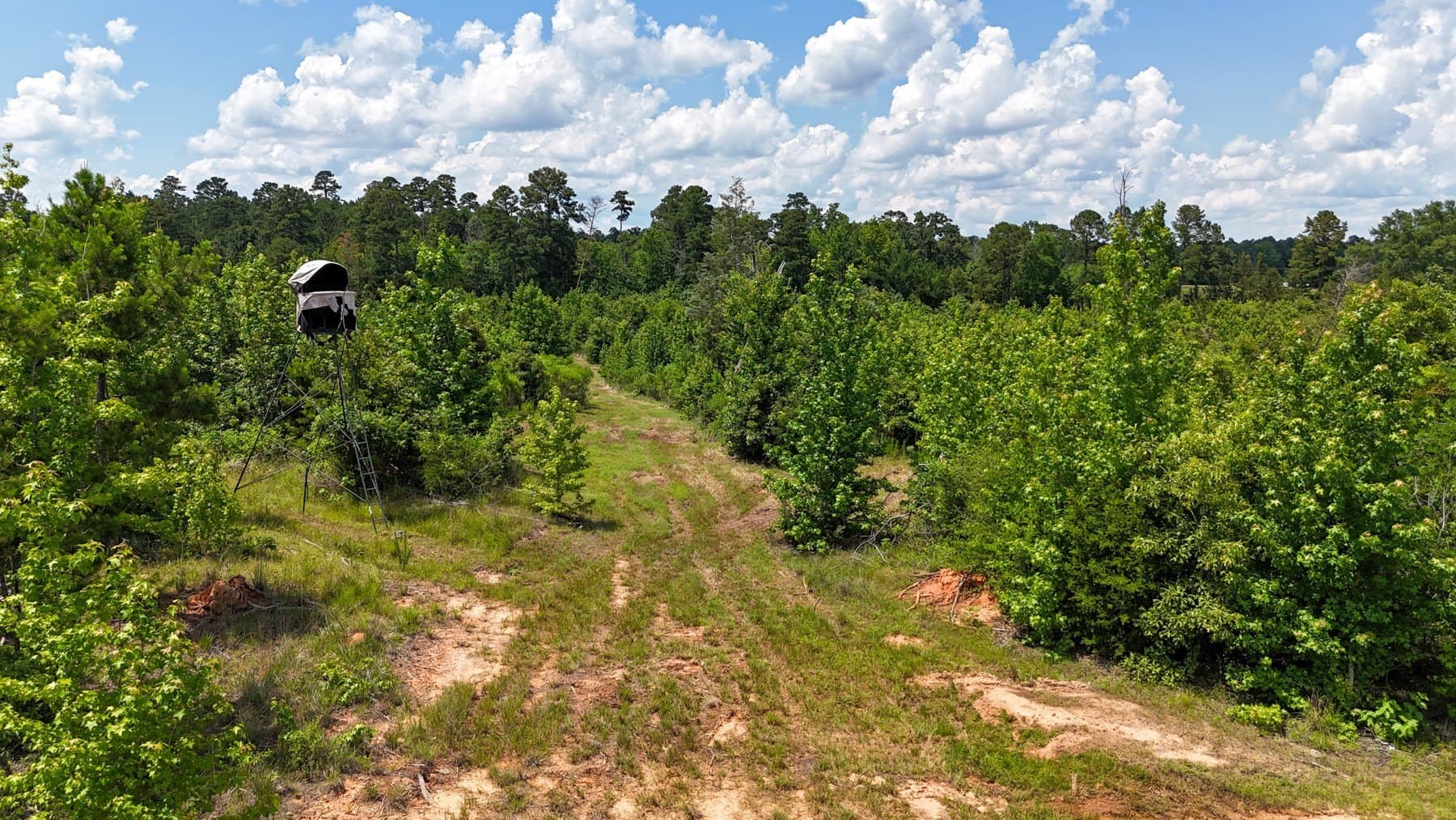129.89 acres in Marion County - photo 22
