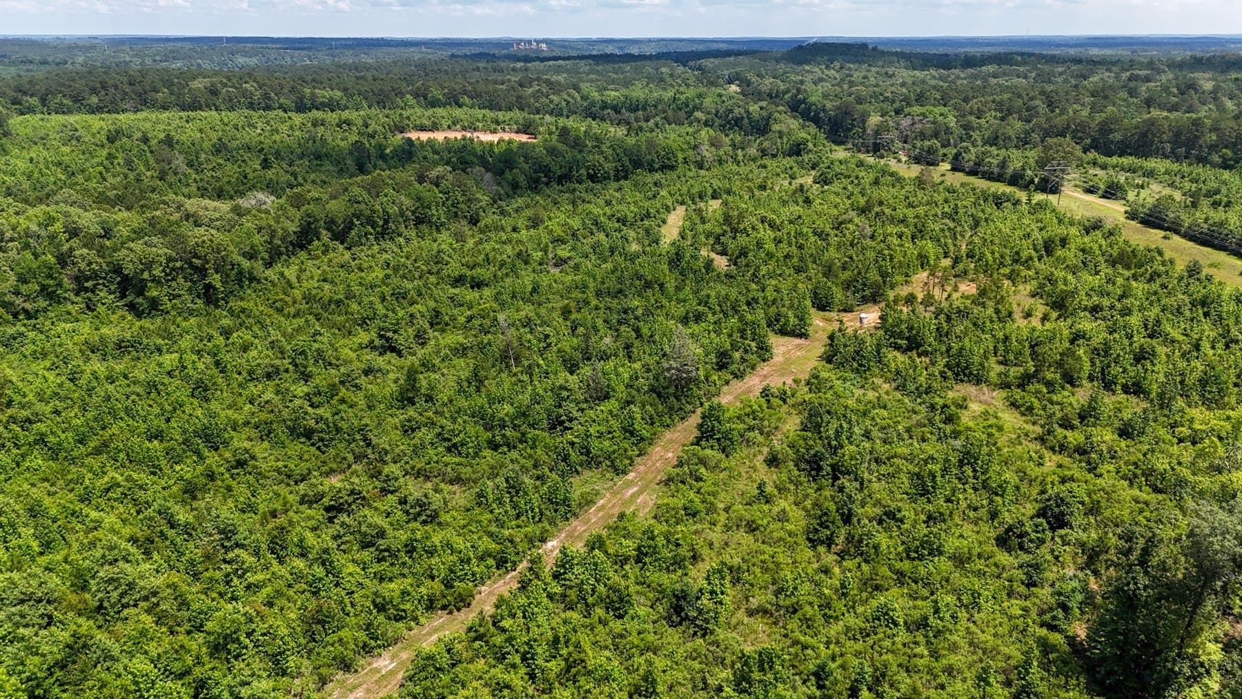 129.89 acres in Marion County - photo 17