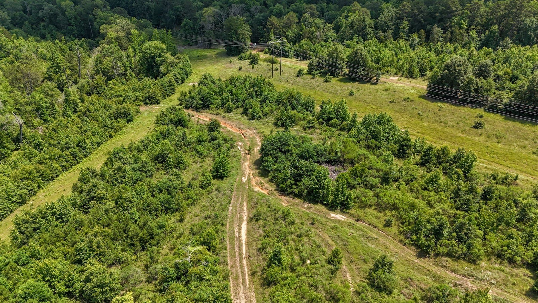 129.89 acres in Marion County - photo 25