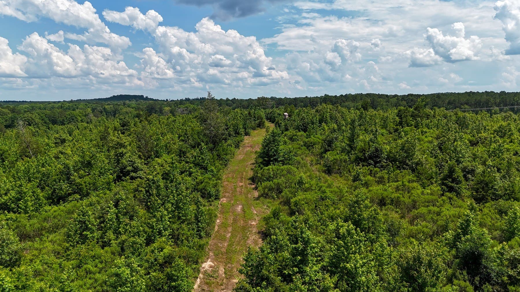 129.89 acres in Marion County - photo 18