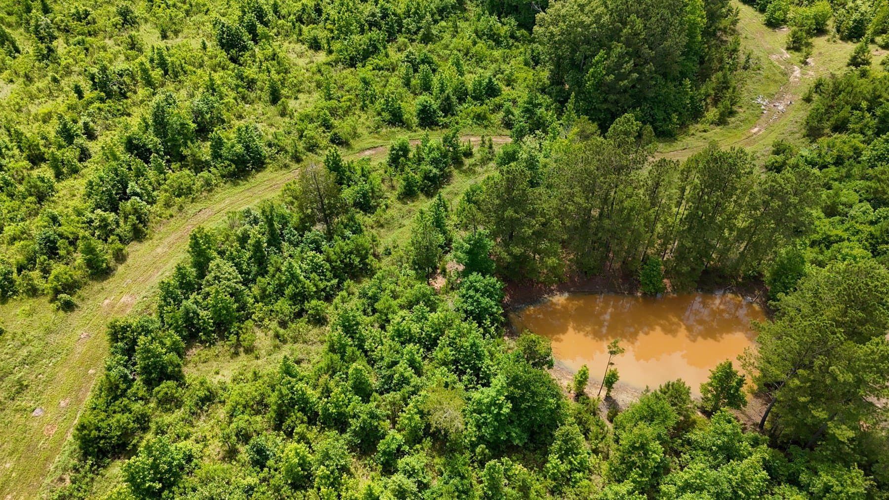 129.89 acres in Marion County - photo 30