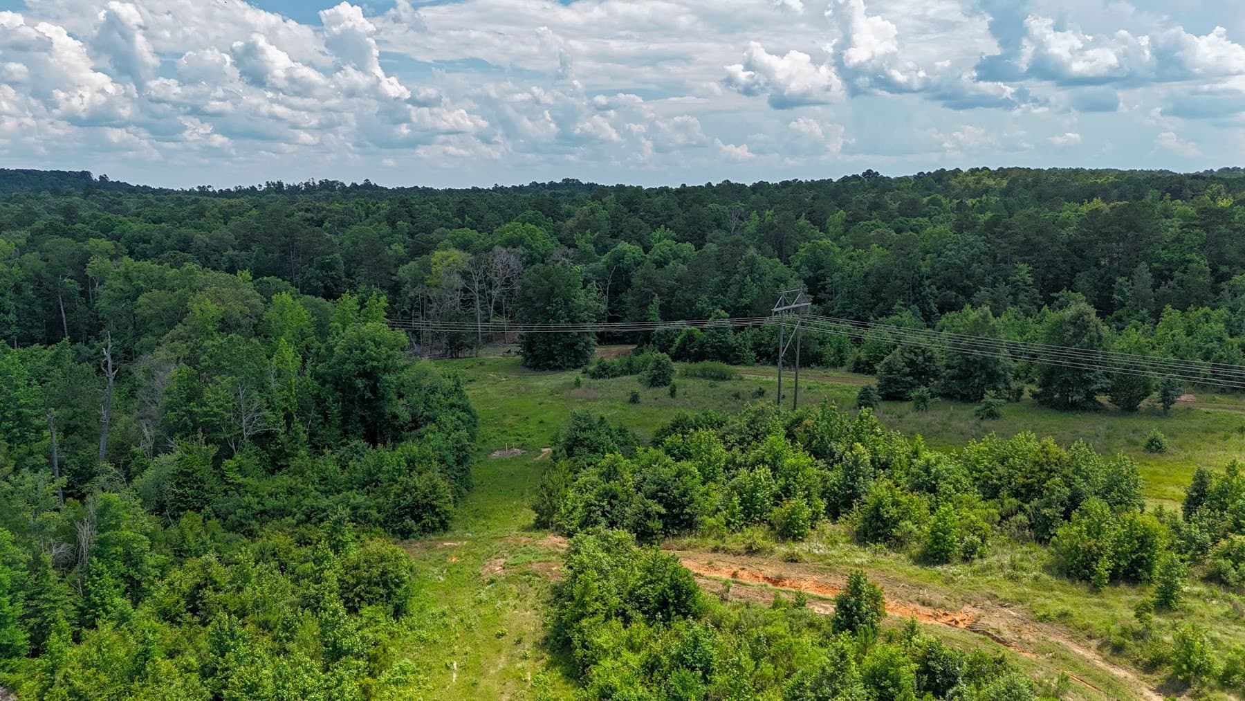 129.89 acres in Marion County - photo 26