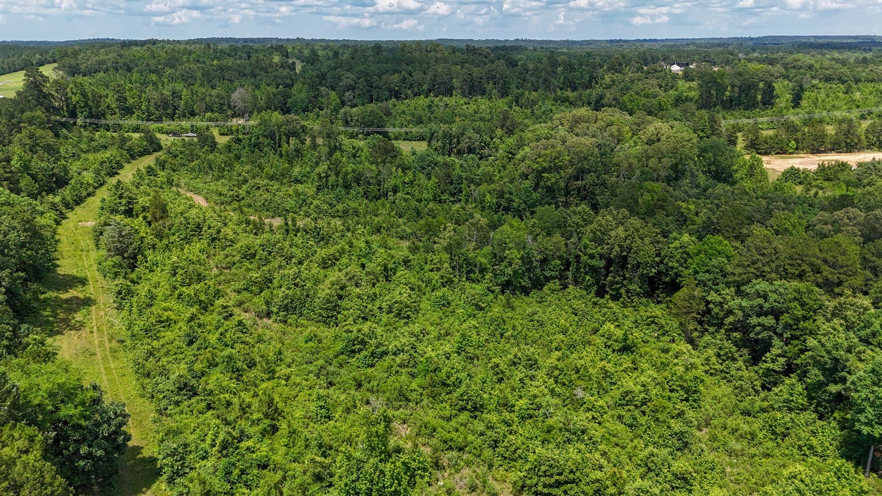 129.89 acres in Marion County - photo 8