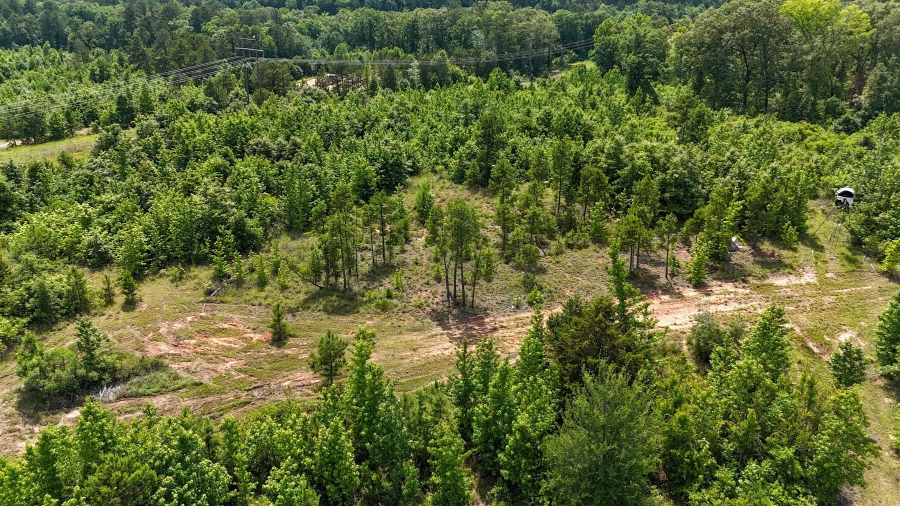 129.89 acres in Marion County - photo 32