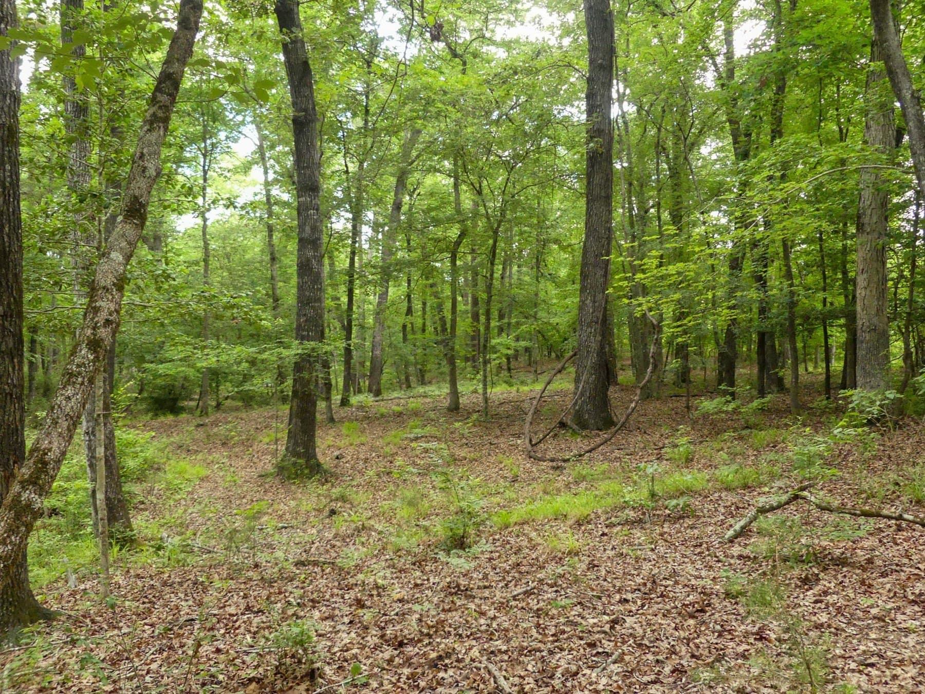 129.89 acres in Marion County - photo 37