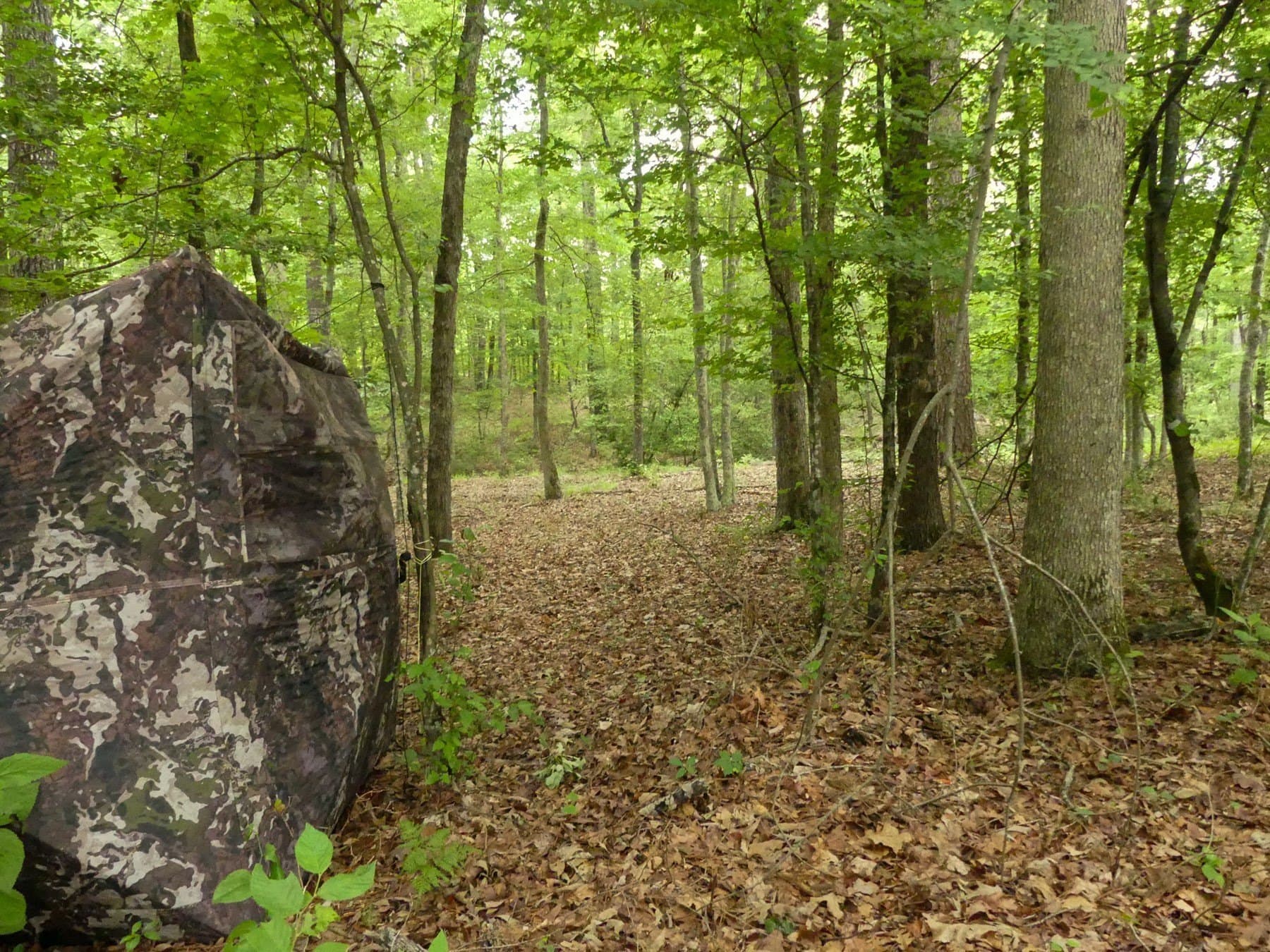 129.89 acres in Marion County - photo 38
