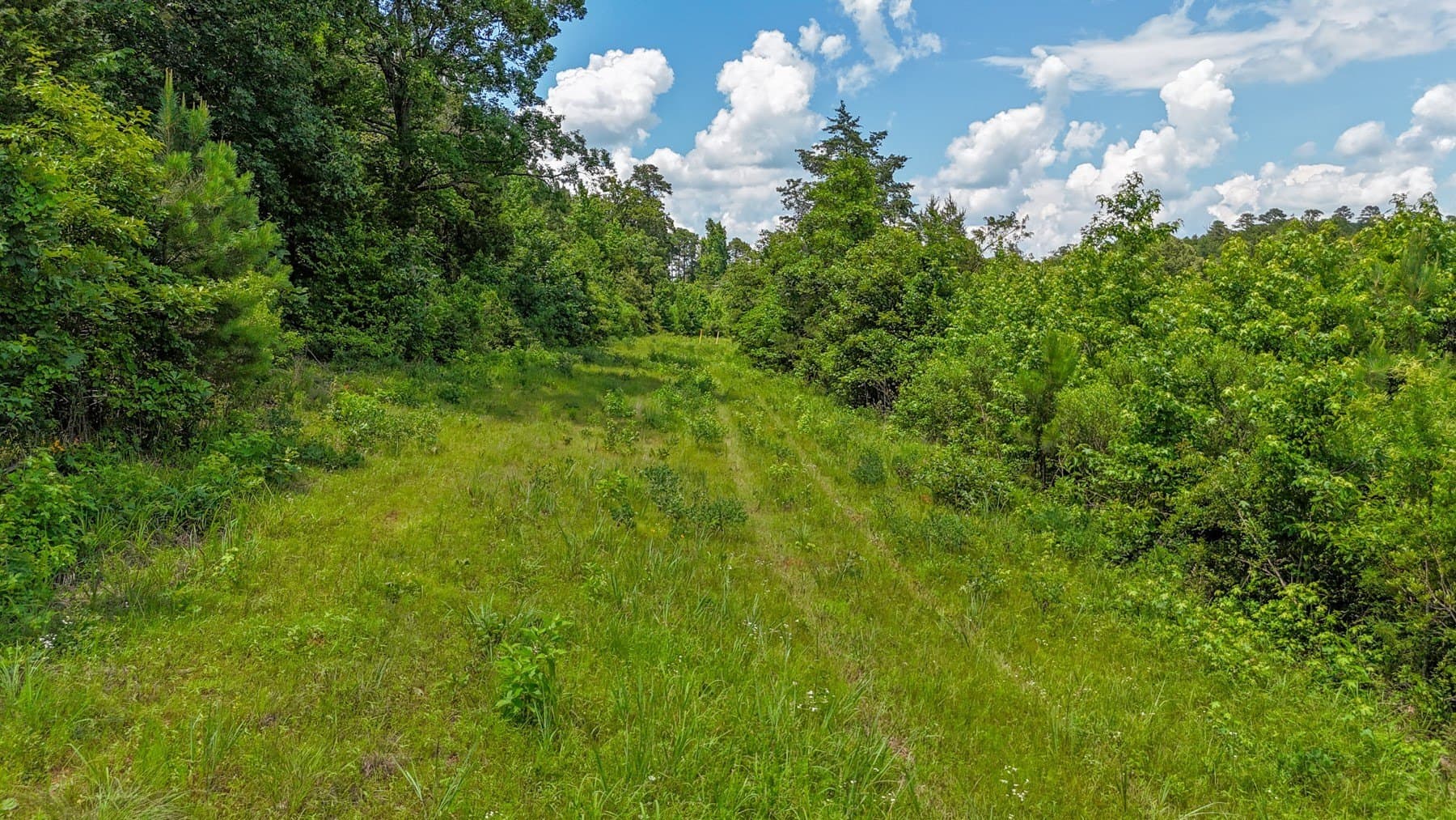 129.89 acres in Marion County - photo 11