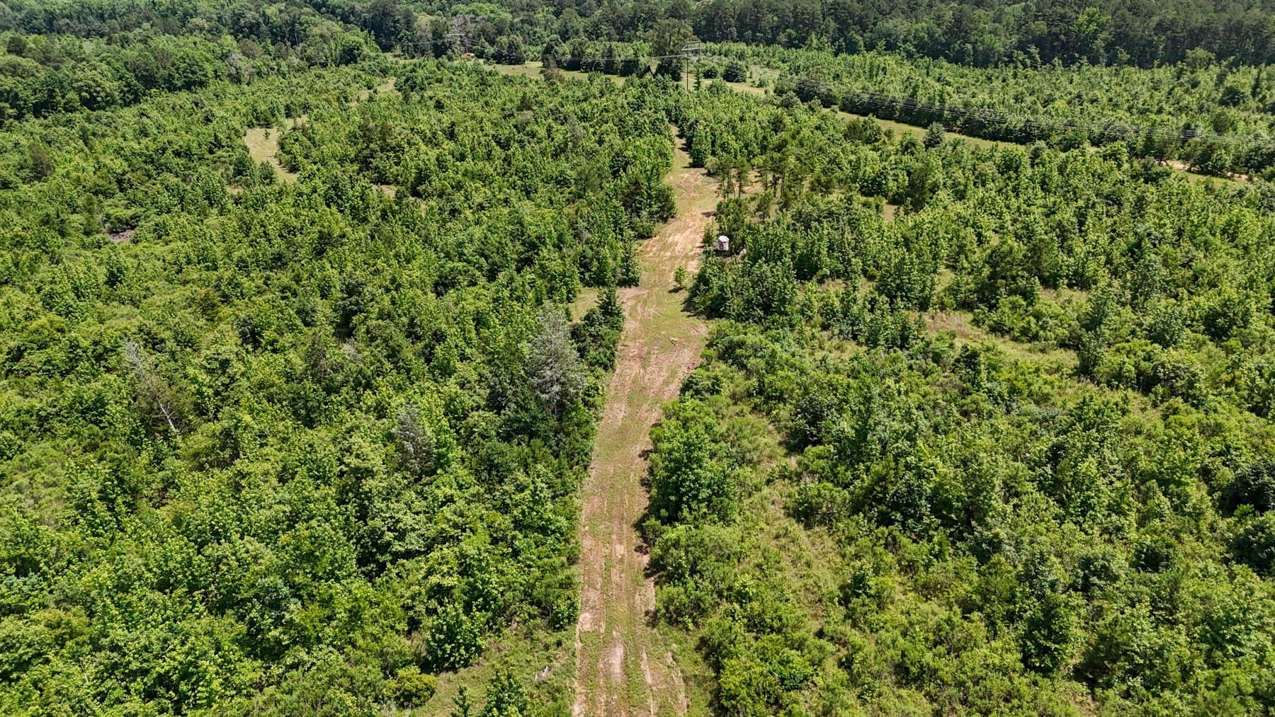 129.89 acres in Marion County - photo 19