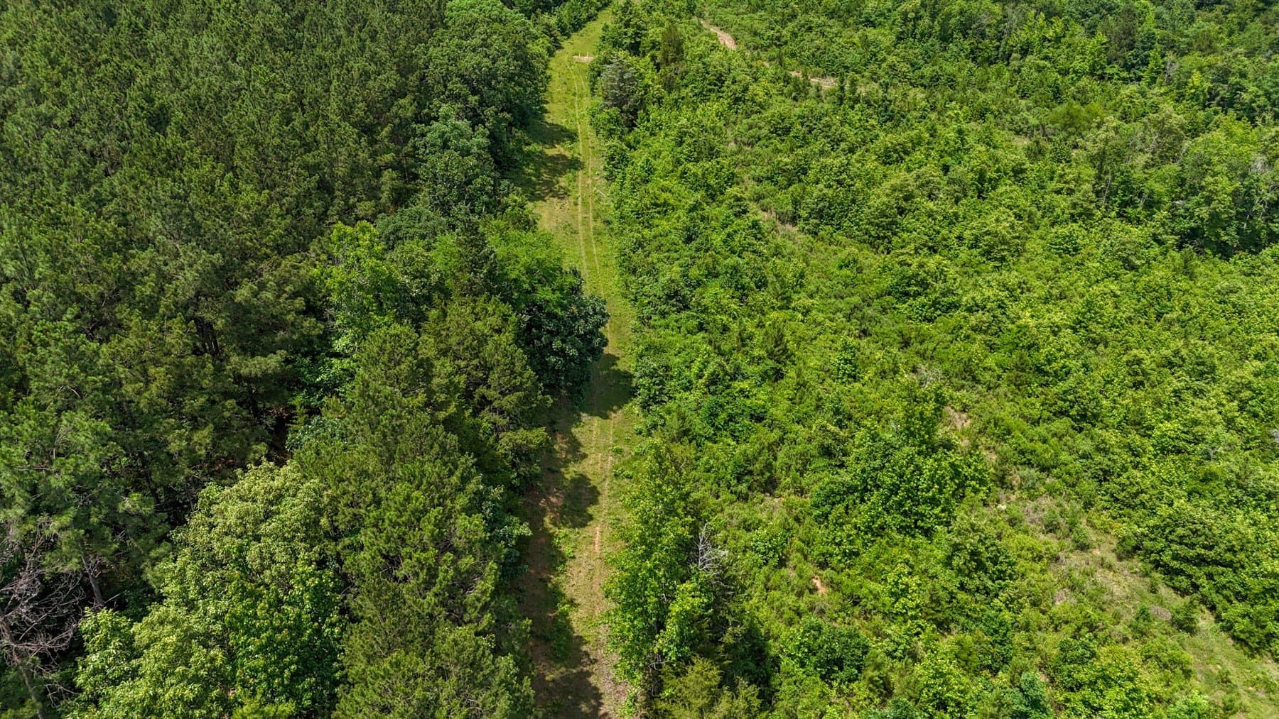 129.89 acres in Marion County - photo 9