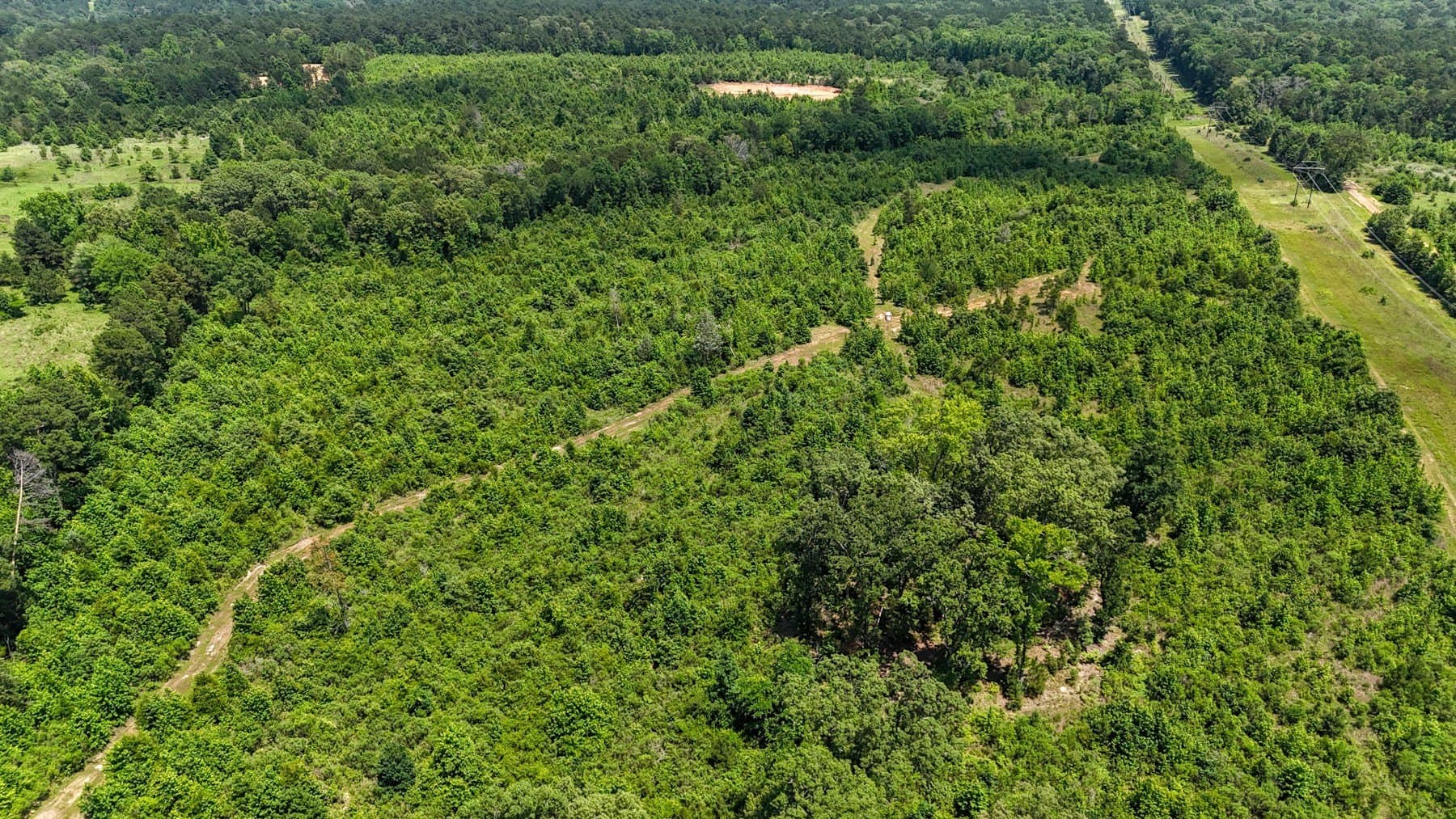 129.89 acres in Marion County - photo 16