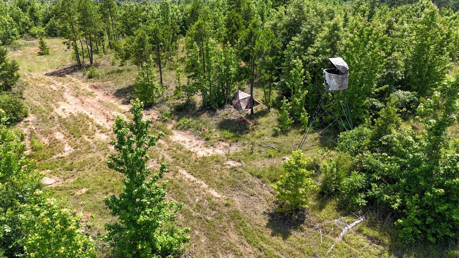 129.89 acres in Marion County - photo 20