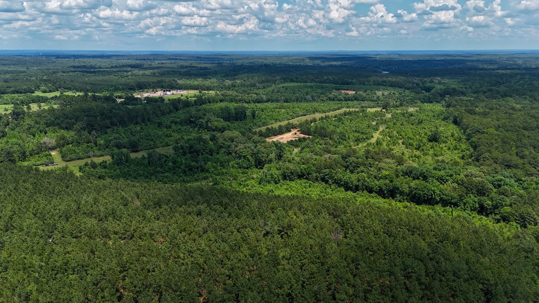 129.89 acres in Marion County gallery image 3