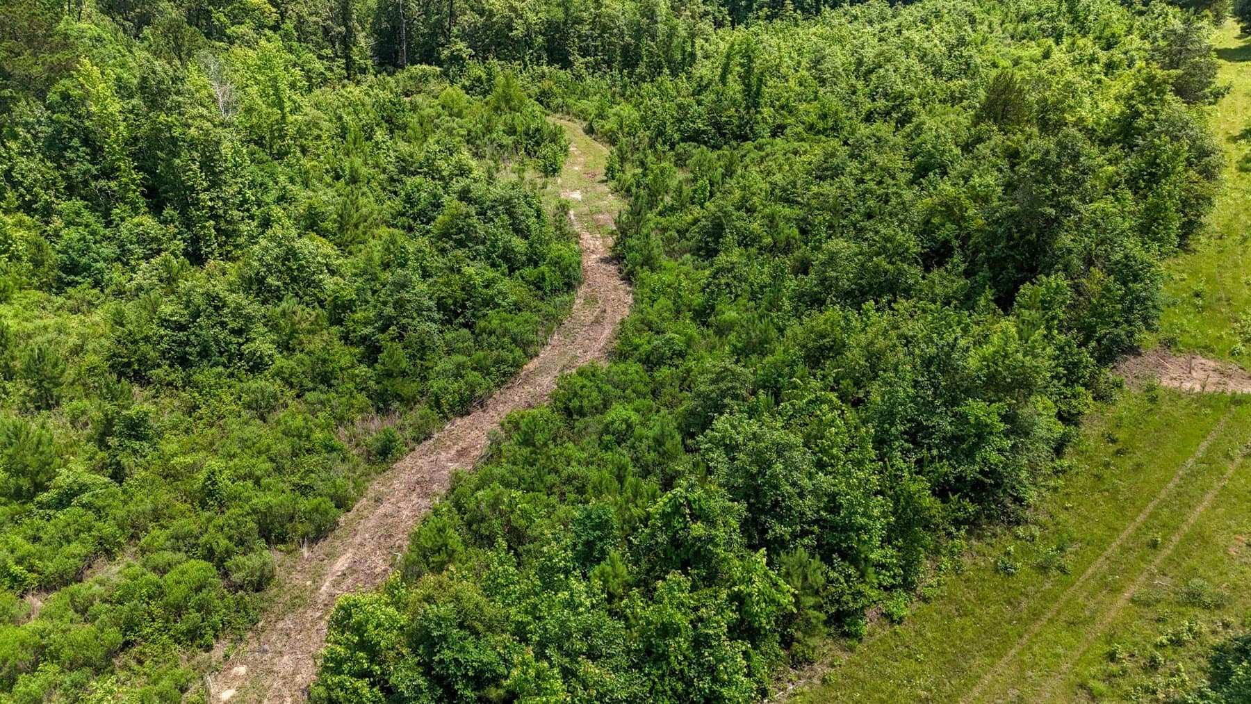 129.89 acres in Marion County - photo 13