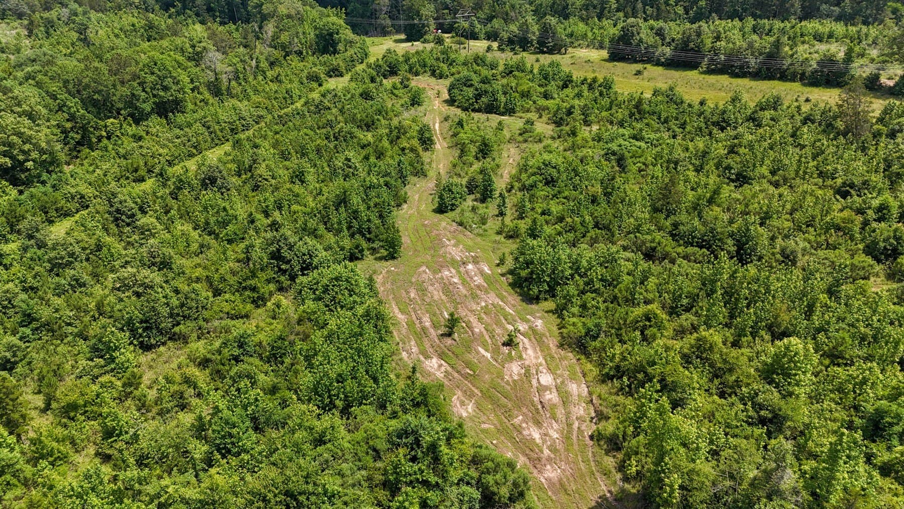 129.89 acres in Marion County - photo 24