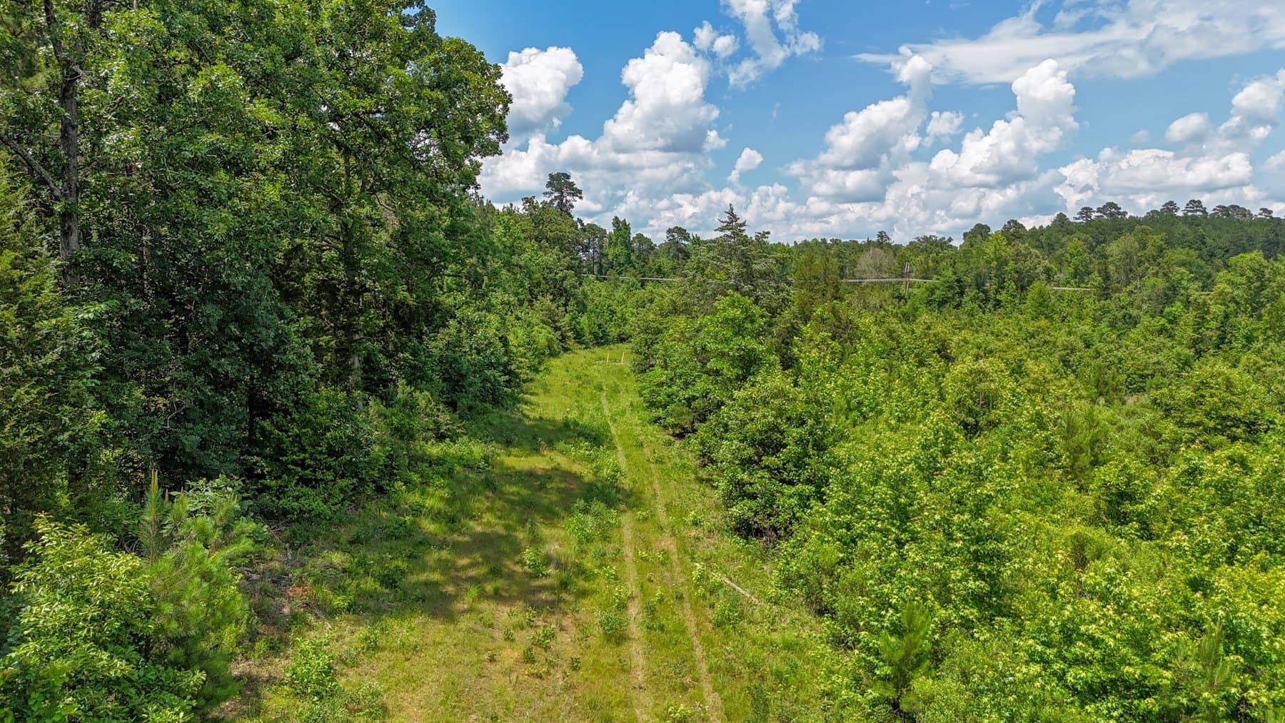129.89 acres in Marion County - photo 10