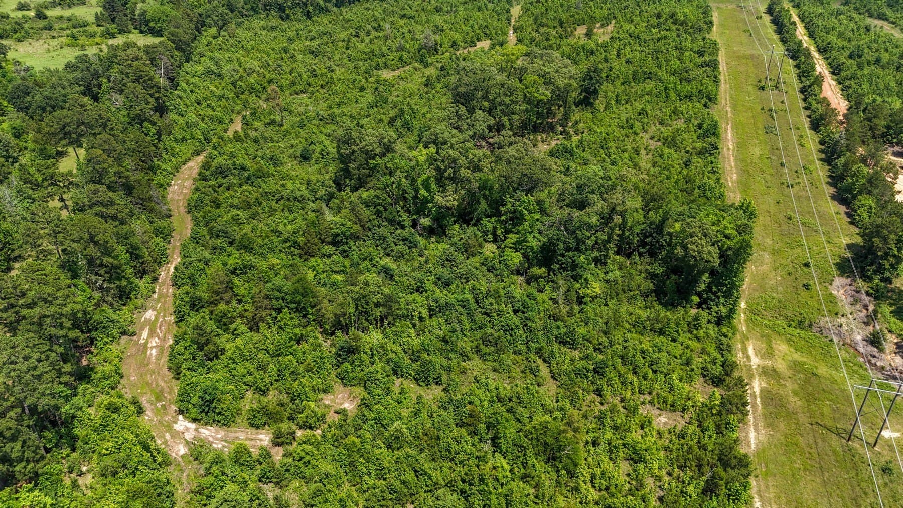 129.89 acres in Marion County - photo 15