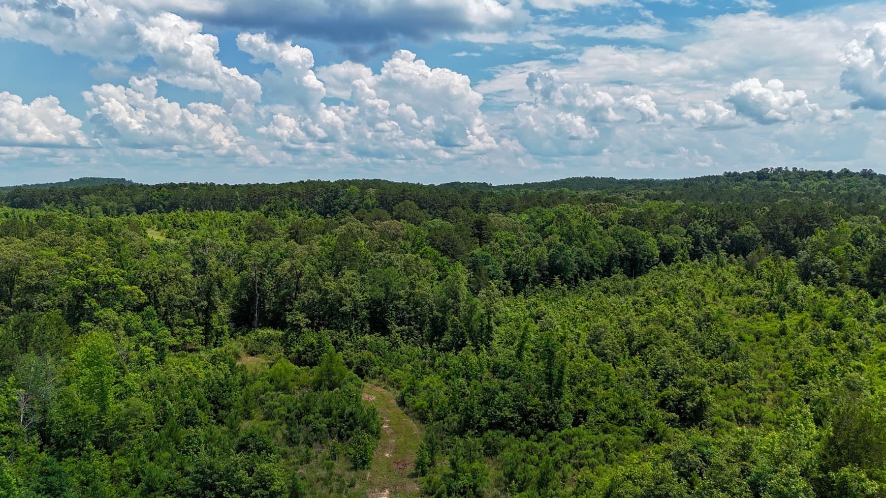 129.89 acres in Marion County - photo 12