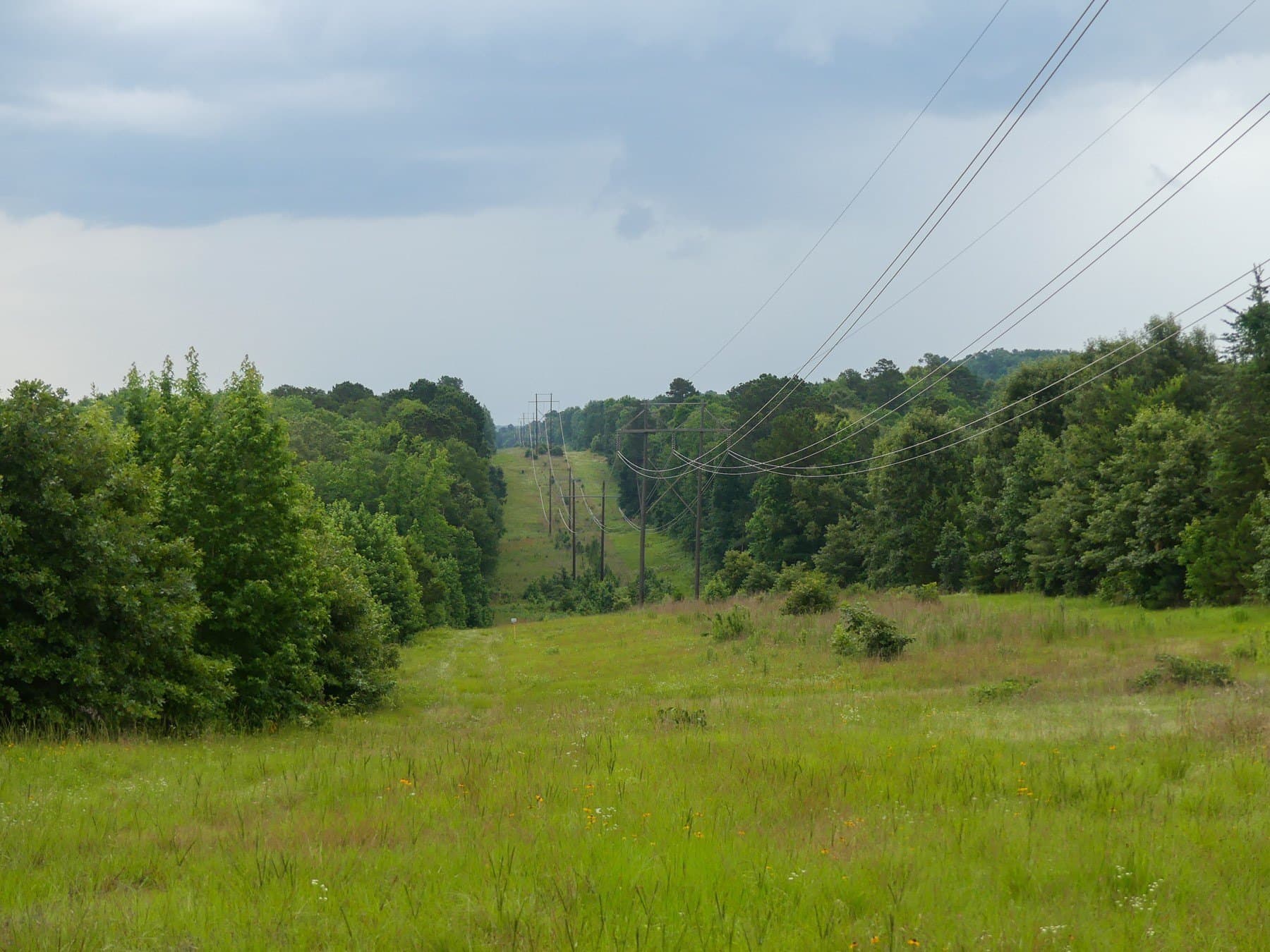 129.89 acres in Marion County - photo 40
