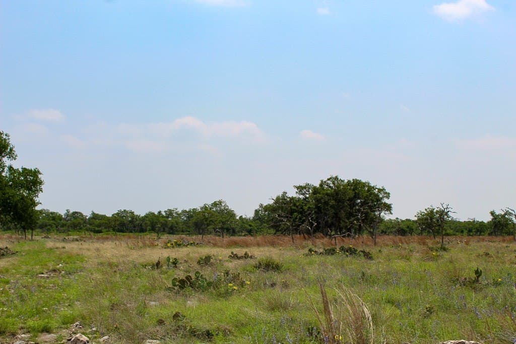 5.51 acres in Kerr County gallery image 2