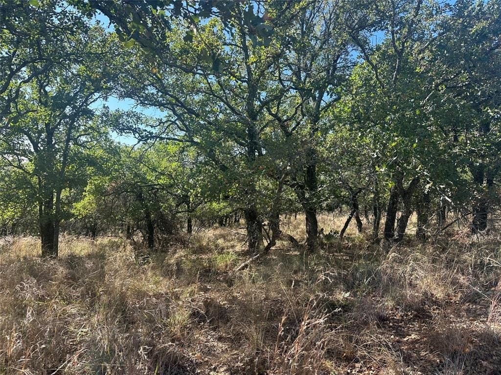 0.34 acres in Brown County gallery image 4