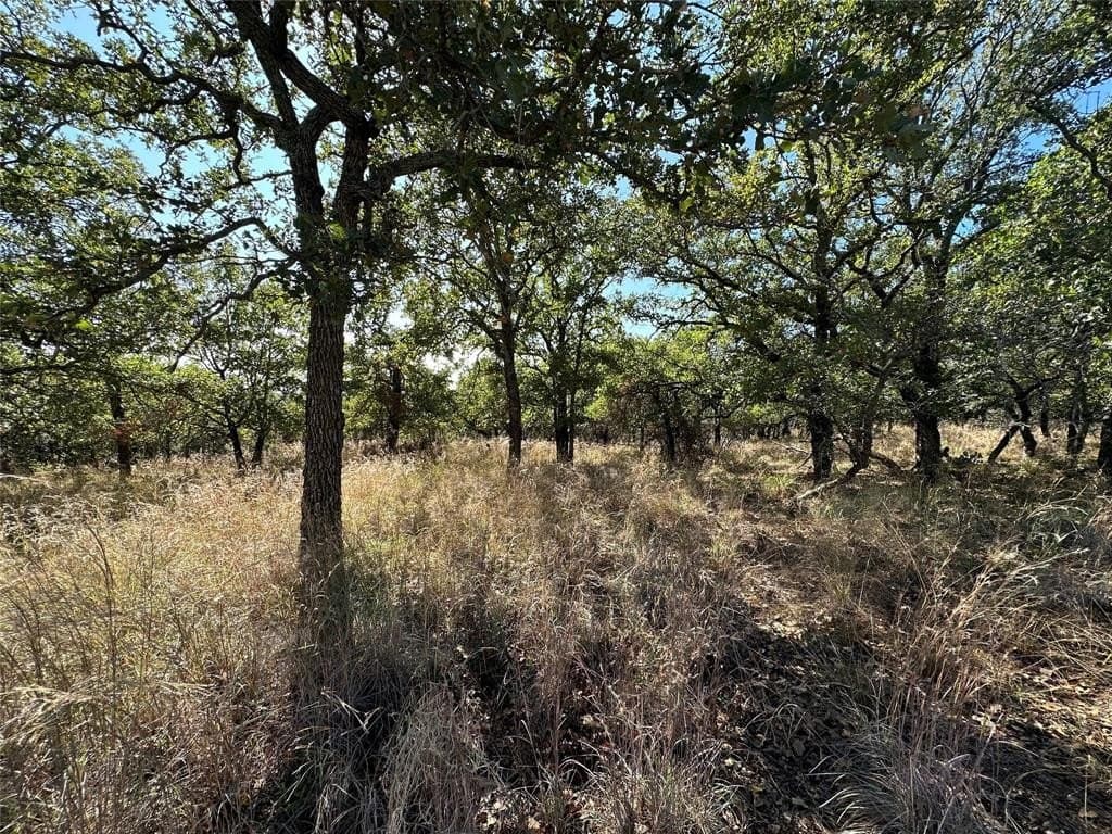 0.34 acres in Brown County gallery image 3