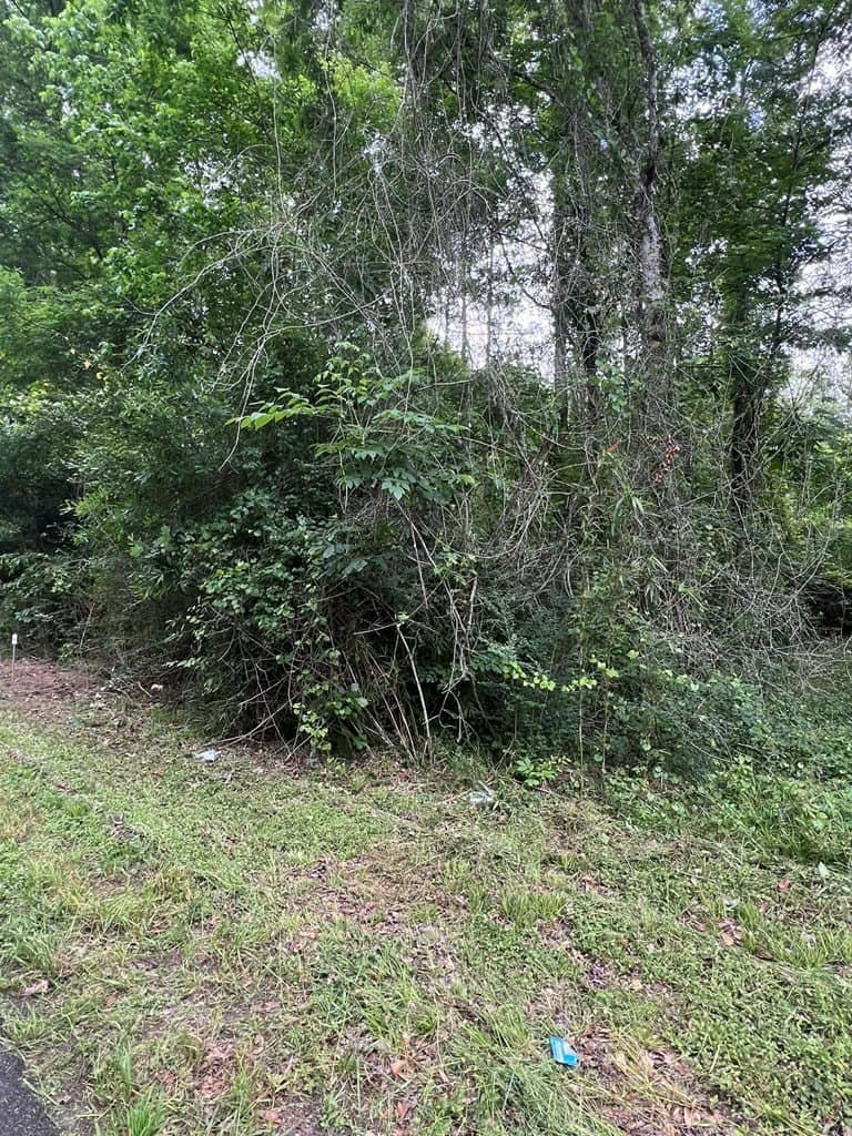 1.45 acres in Texas County gallery image 2