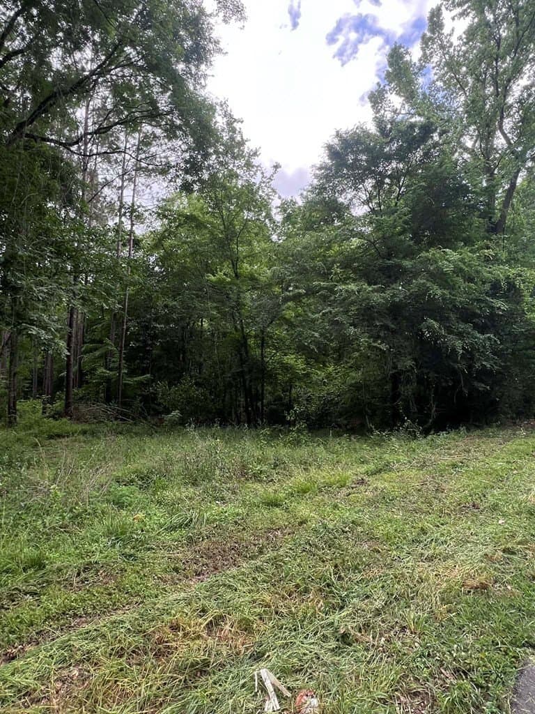 1.45 acres in Texas County gallery image 4