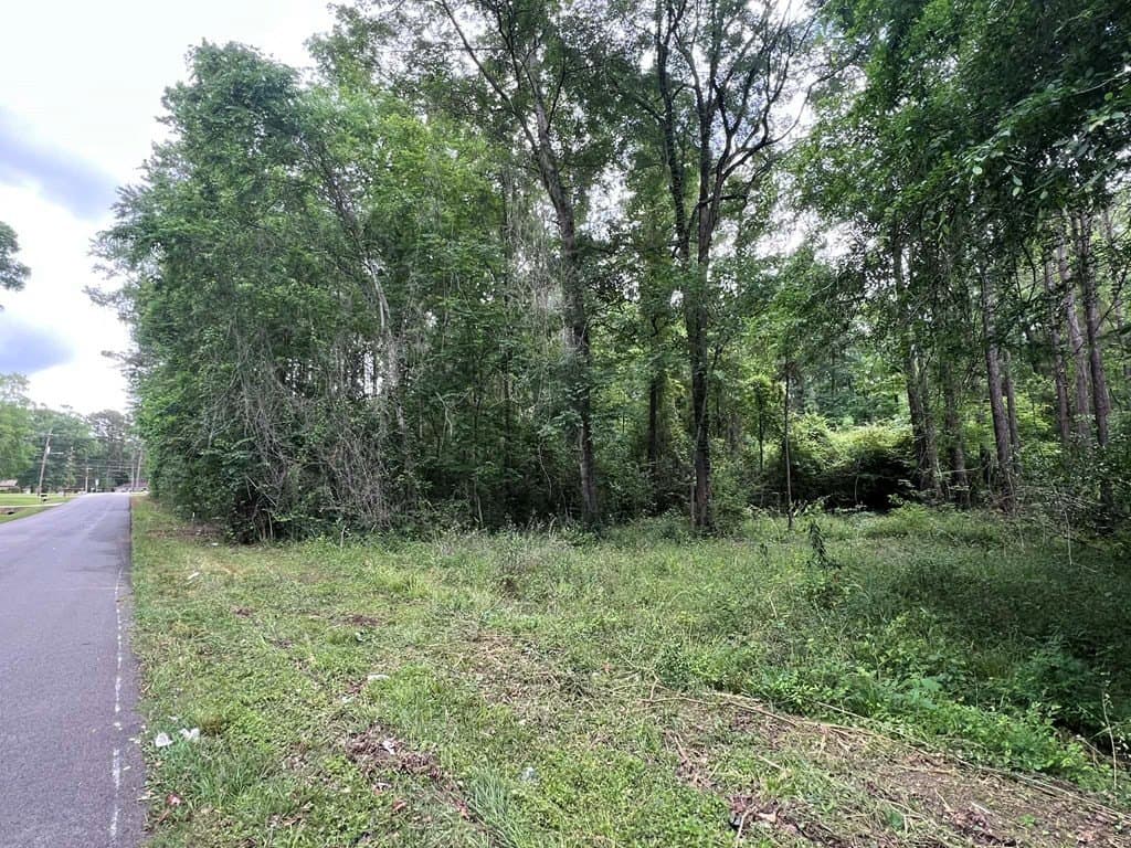 1.45 acres in Texas County featured view