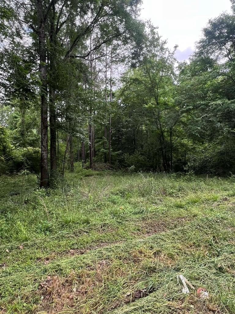 1.45 acres in Texas County