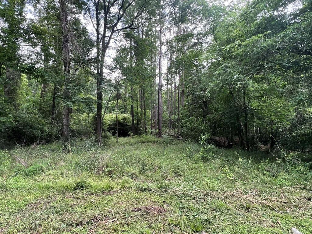 1.45 acres in Texas County gallery image 3