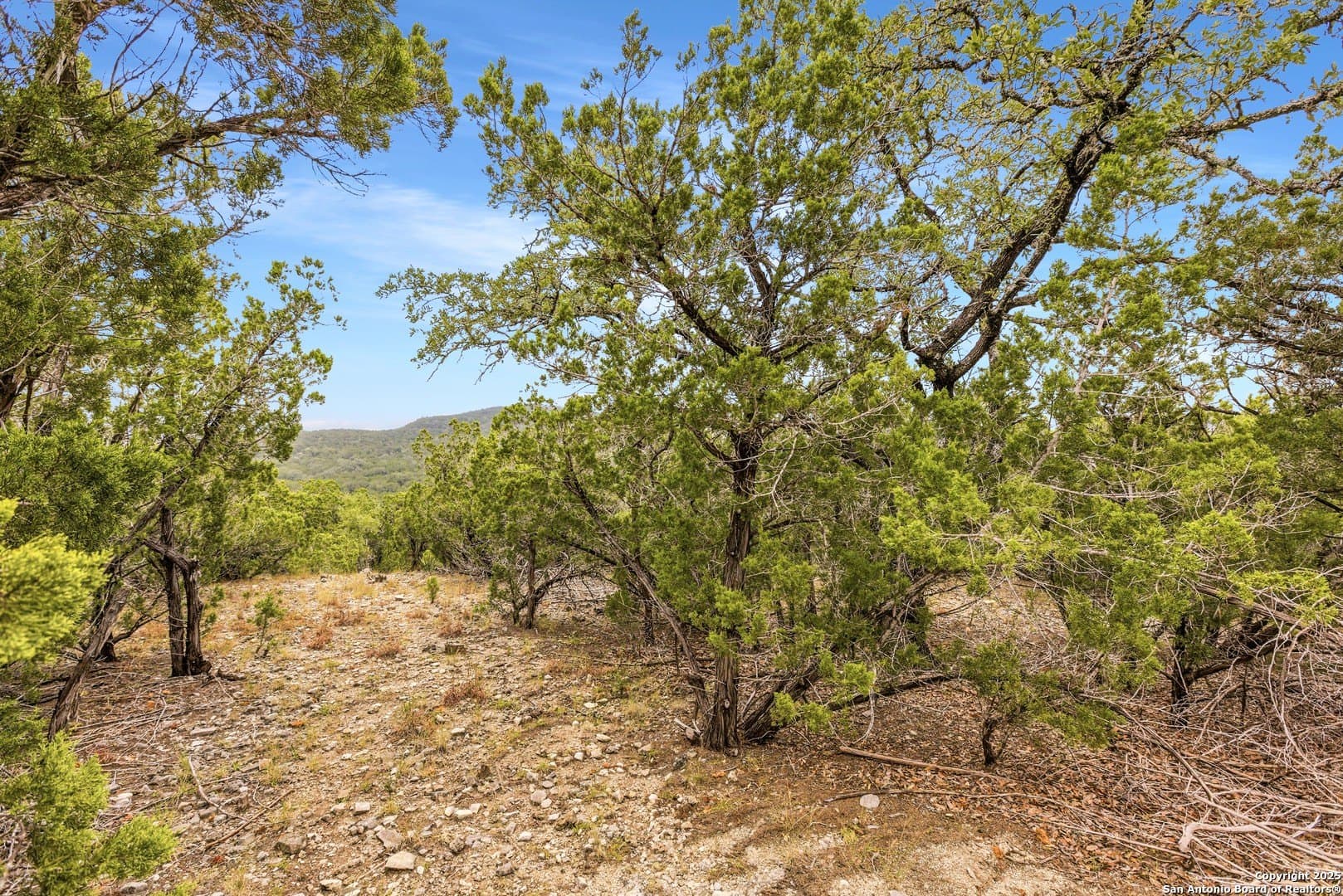 10.46 acres in Bandera County - photo 11