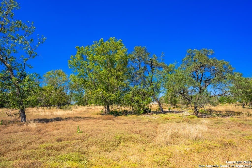 4.17 acres in Gillespie County - photo 12