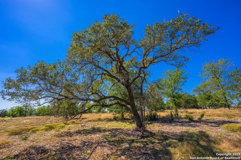 4.17 acres in Gillespie County - photo 8