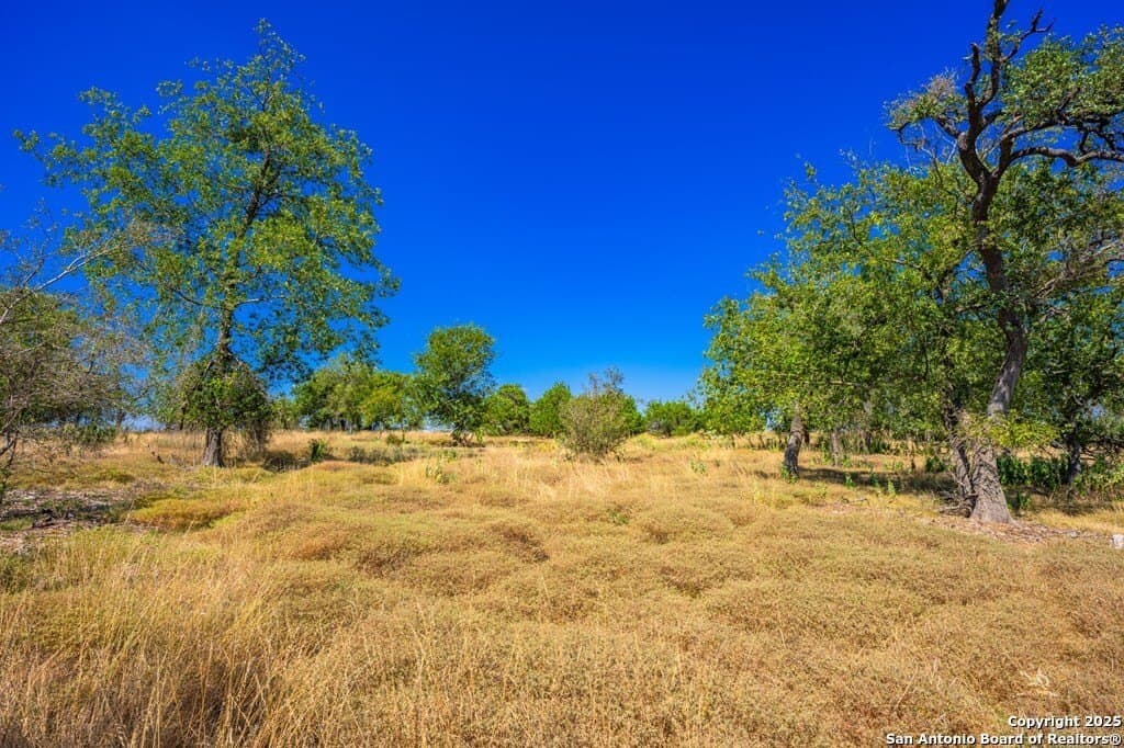 4.17 acres in Gillespie County - photo 6