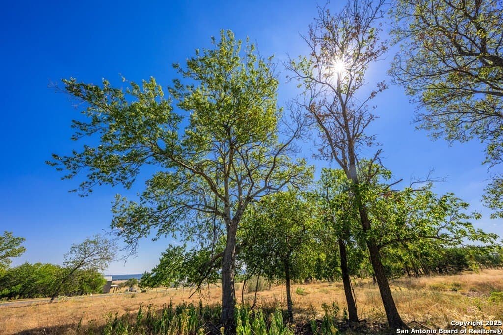 4.17 acres in Gillespie County gallery image 4