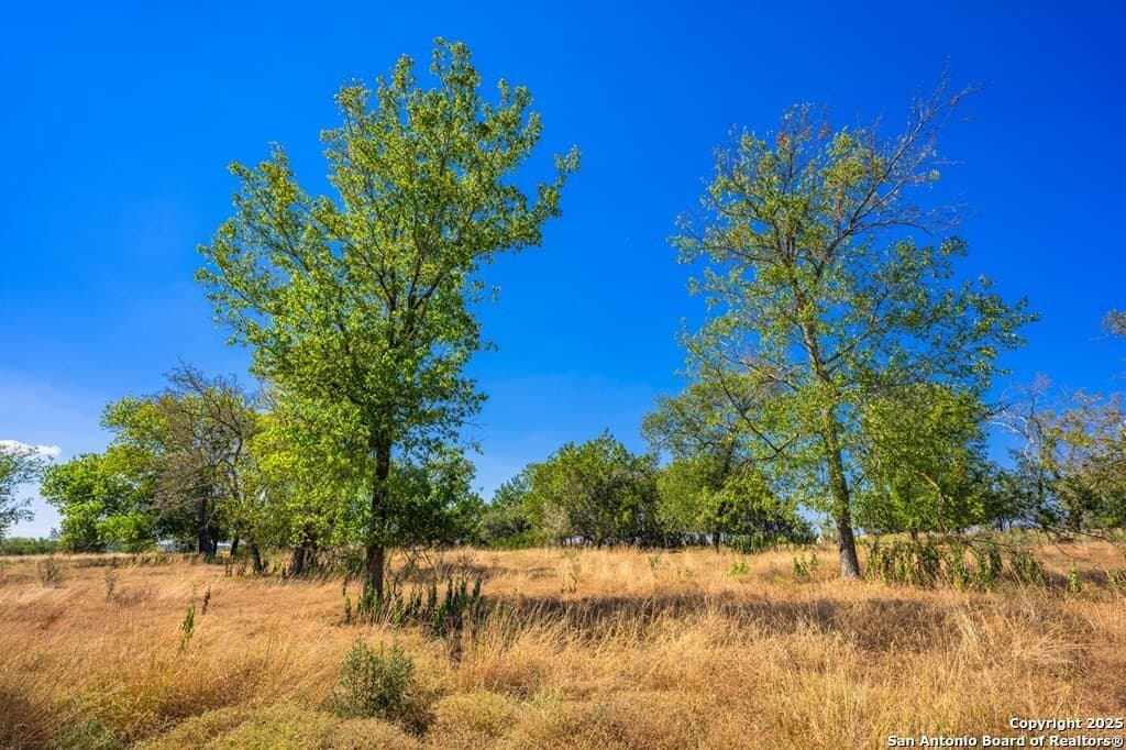 4.17 acres in Gillespie County featured view