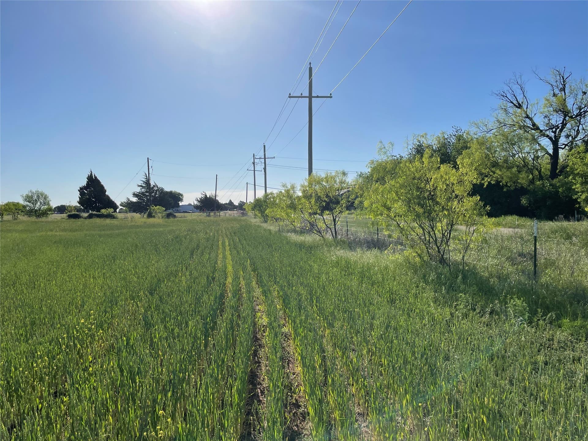 48 acres in Taylor County - photo 7