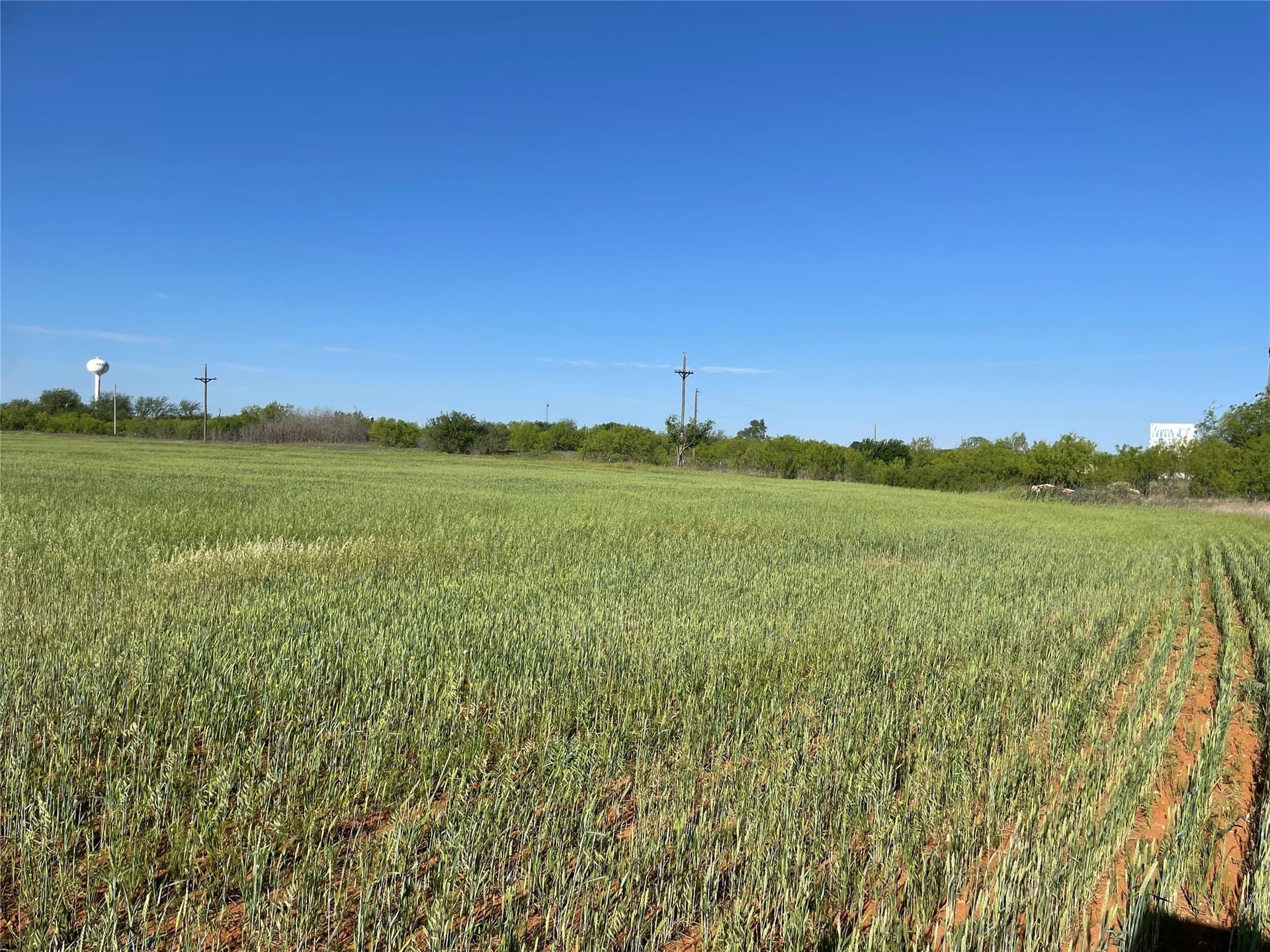 48 acres in Taylor County - photo 6