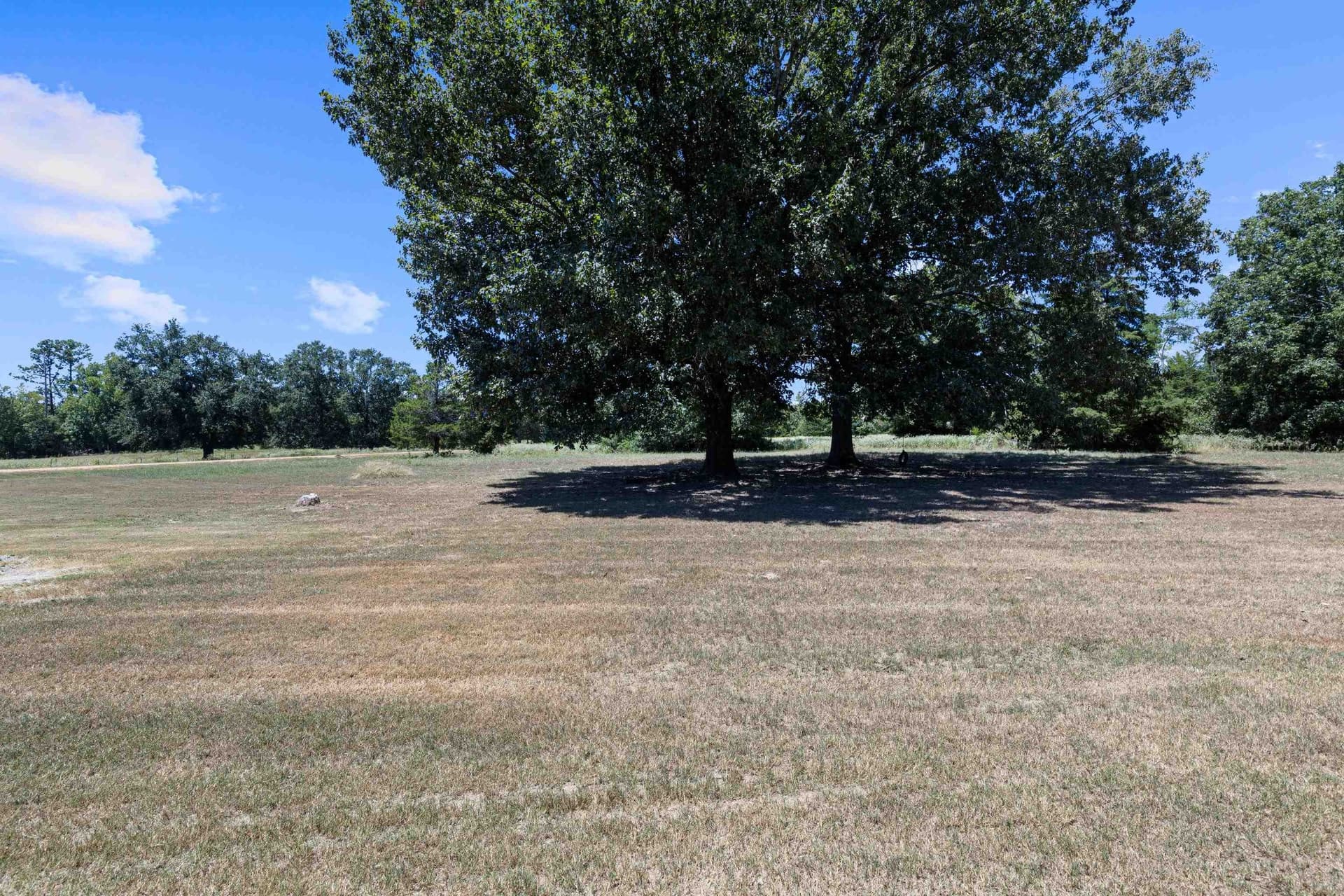 52 acres in Harrison County - photo 41