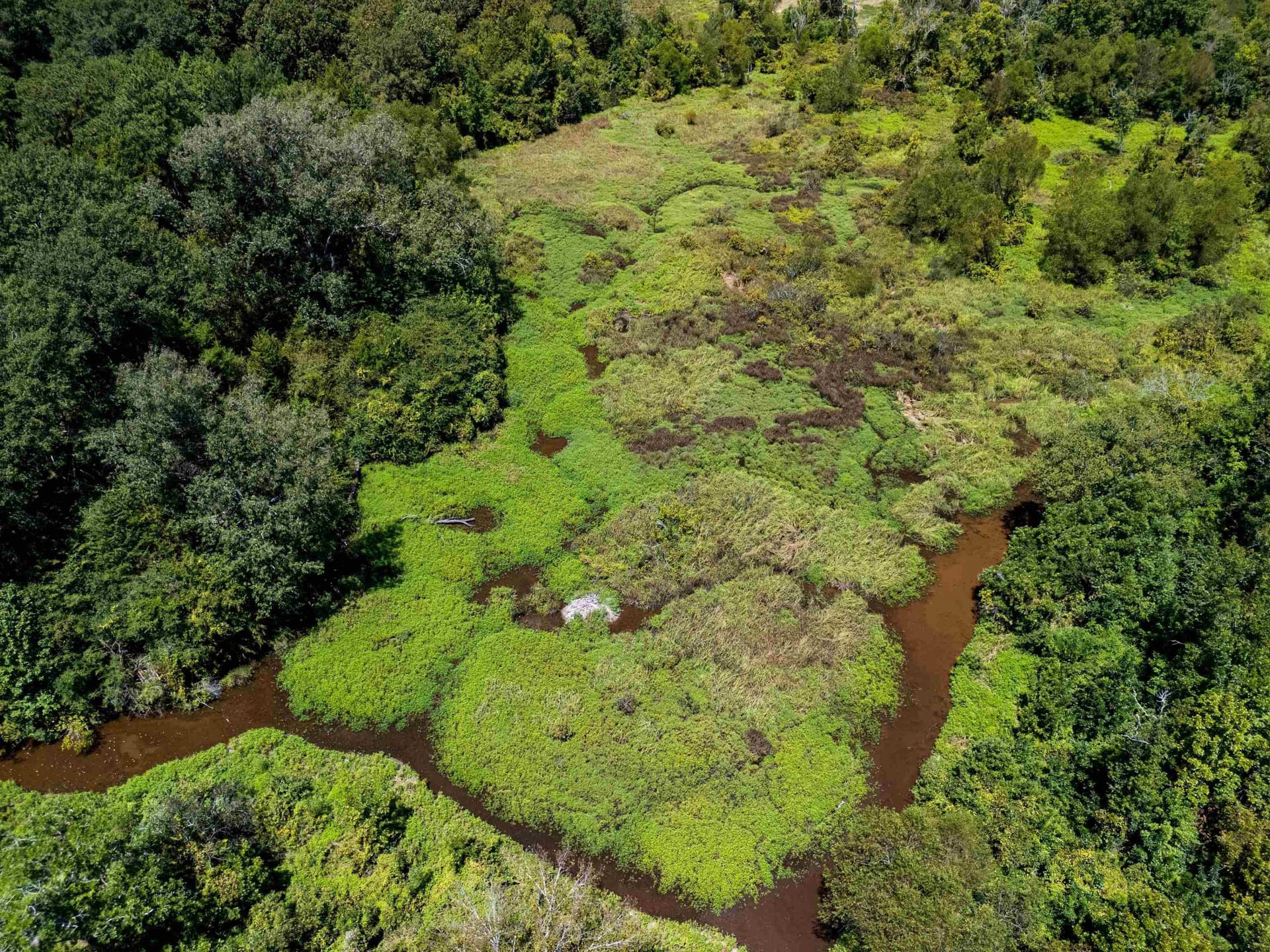 52 acres in Harrison County - photo 46