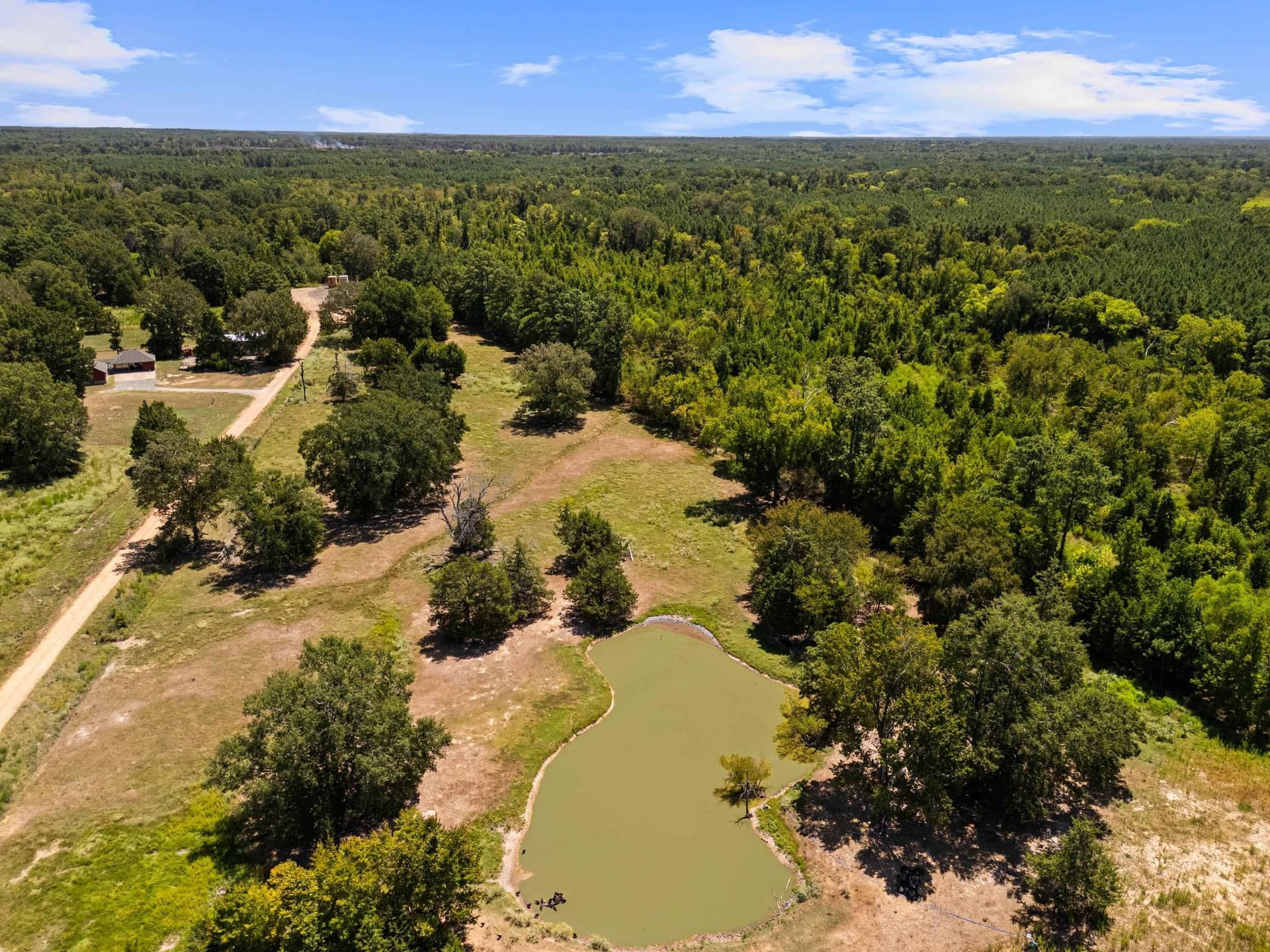 52 acres in Harrison County - photo 44