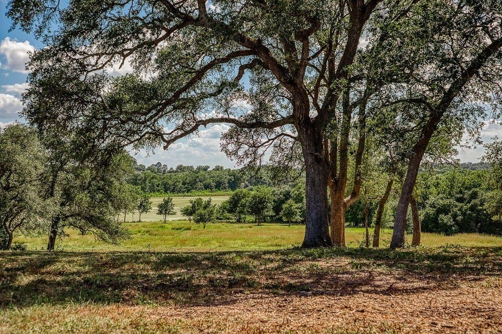 17.83 acres in Fayette County