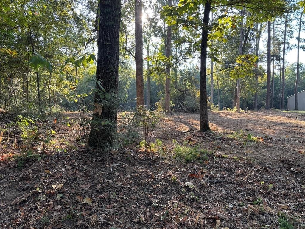 0.52 acres in Texas County gallery image 2