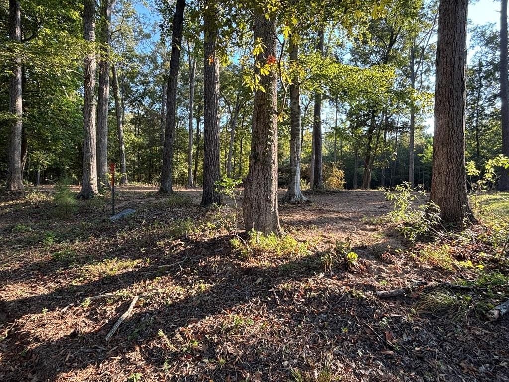 0.52 acres in Texas County gallery image 4