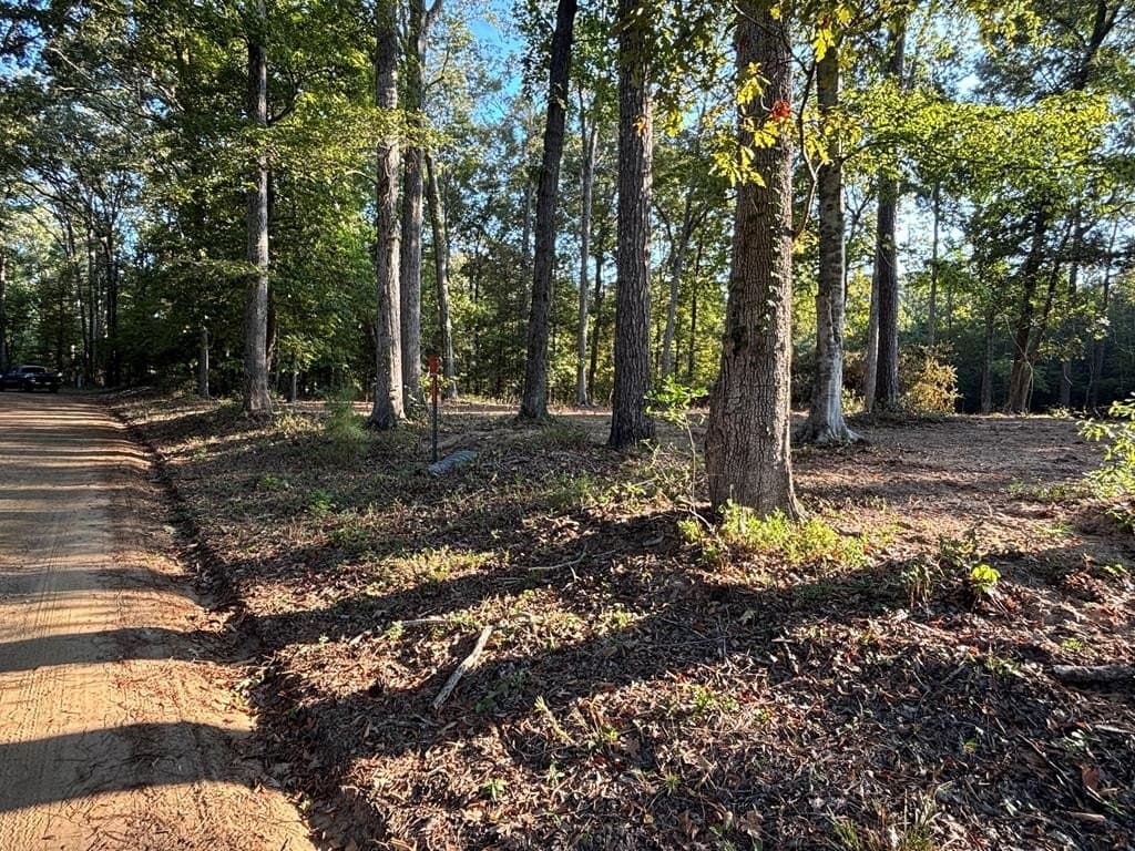 0.52 acres in Texas County featured view